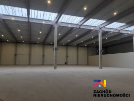 Do wynajęcia hala o pow. 2767 m2.